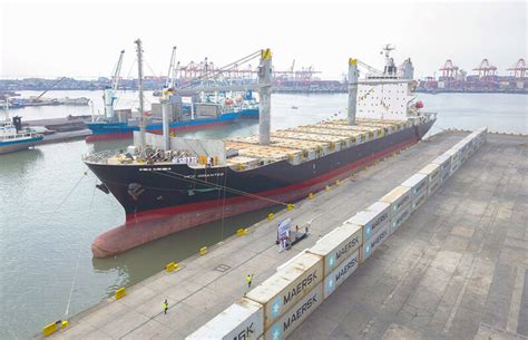phil asia international cargo tracking|MCC Philippines .